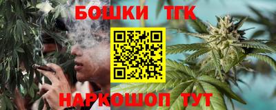 индика Ливны