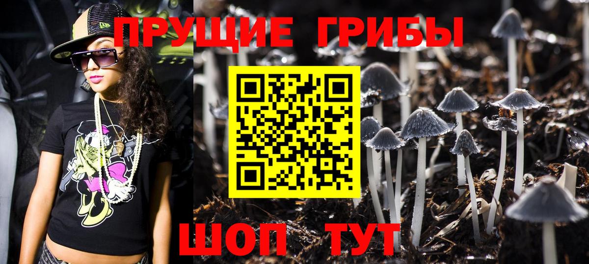 Галлюциногенные грибы мицелий Горно-Алтайск
