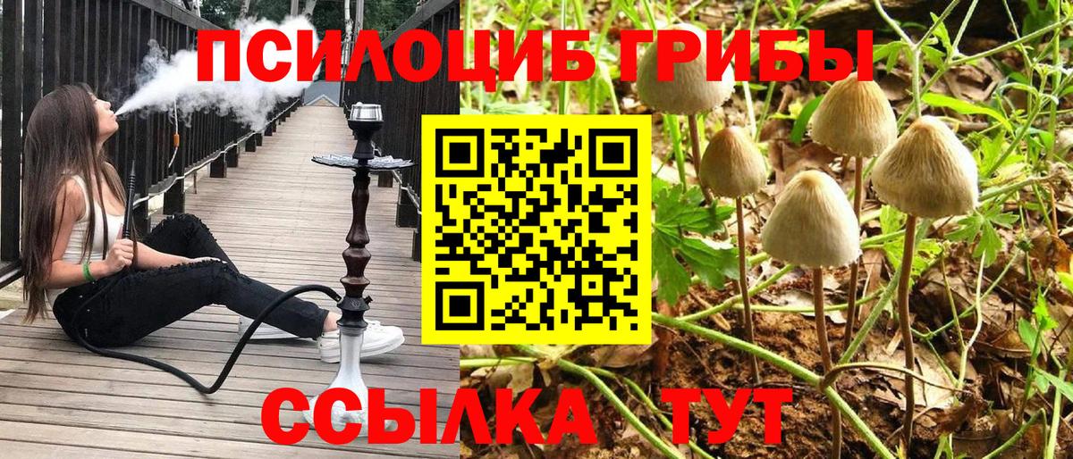 наркота  Вход с VPN  Горно-Алтайск  Псилоцибиновые грибы мухоморы 